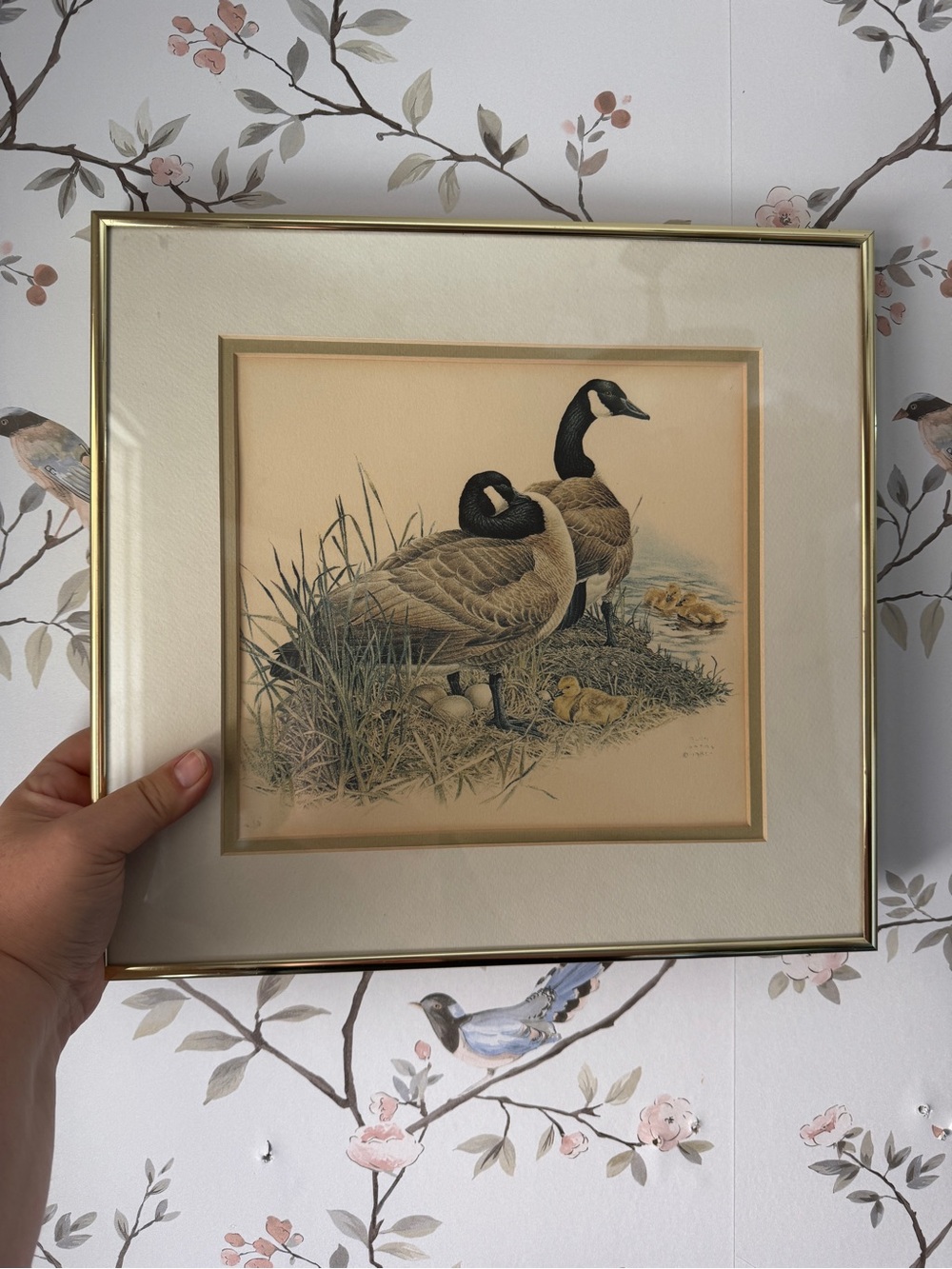 1980s Glen Loates Duckling Print Professional Gold Framed Wildlife Animal Art
